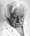 Jorge  Amado